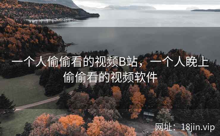 一个人偷偷看的视频B站，一个人睌上偷偷看的视频软件