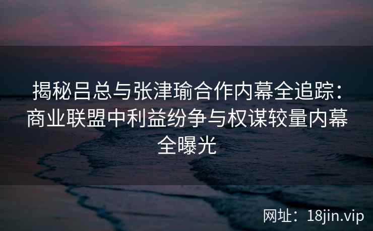 揭秘吕总与张津瑜合作内幕全追踪：商业联盟中利益纷争与权谋较量内幕全曝光
