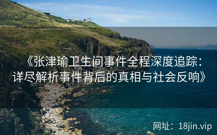 《张津瑜卫生间事件全程深度追踪：详尽解析事件背后的真相与社会反响》