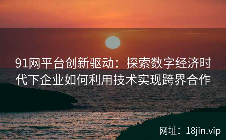 91网平台创新驱动：探索数字经济时代下企业如何利用技术实现跨界合作