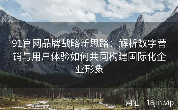 91官网品牌战略新思路：解析数字营销与用户体验如何共同构建国际化企业形象