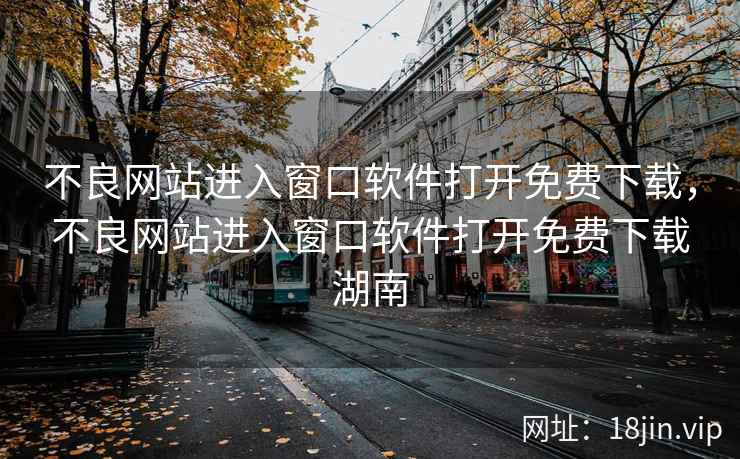 不良网站进入窗口软件打开免费下载，不良网站进入窗口软件打开免费下载湖南