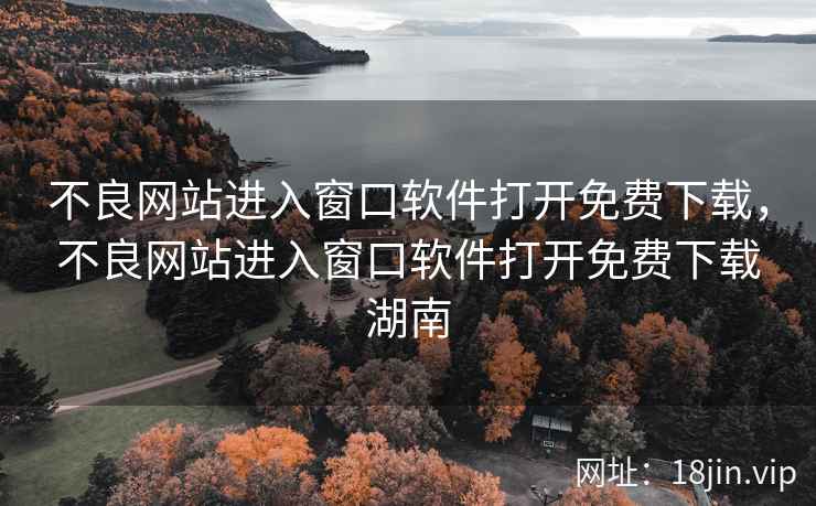 不良网站进入窗口软件打开免费下载，不良网站进入窗口软件打开免费下载湖南