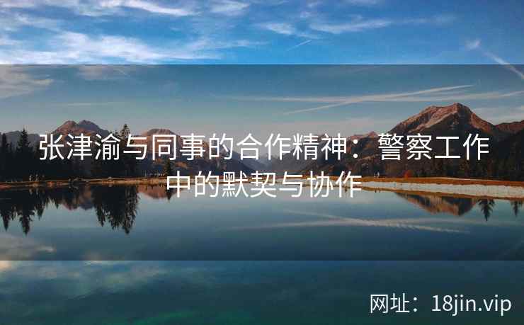 张津渝与同事的合作精神：警察工作中的默契与协作