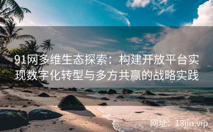 91网多维生态探索：构建开放平台实现数字化转型与多方共赢的战略实践