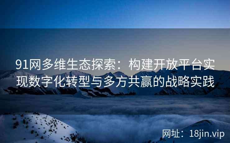 91网多维生态探索：构建开放平台实现数字化转型与多方共赢的战略实践