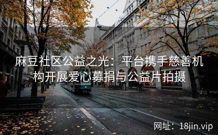 麻豆社区公益之光：平台携手慈善机构开展爱心募捐与公益片拍摄